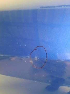 LEXUS RC DVEŘE PŘEDNÍ LEVÉ ORIG.