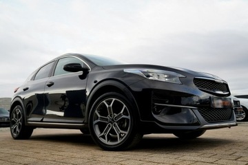 Kia XCeed Crossover Facelifting 1.5 T-GDi 160KM 2023 Kia XCeed NAWI kamera parktronik SKÓRA automat F1, zdjęcie 5