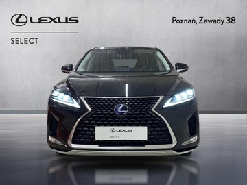 Lexus RX IV SUV Facelifting RX 450h 313KM 2022 Lexus RX 450h Omotenashi IV (2015-2020) Lexus RX 4, zdjęcie 5
