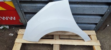 BLATNÍK OCEL LEVÝ PŘEDNÍ CITROEN DS3 03.10-2015R BEZ VERZE R 249 EWP
