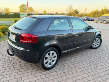 Audi A3 8P Hatchback 3d 1.6 102KM 2004 Audi A3 3-drzwiowe 1.6mpi 102KM Klima Alusy Grzane fotele Sprawdz 1.6, zdjęcie 6