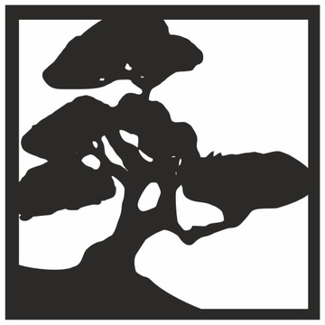 kwadrat drzewo 30 cm bonsai kolory