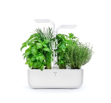 Настоящая Классика