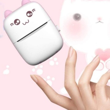 МИНИ-ТЕРМОПРИНТЕР DRUKUŚ CAT + 11 РОЛИКОВ