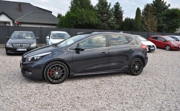 Kia Ceed II GT 5d 1.6 T-GDI 204KM 2017 Kia Ceed 1.6T Benzyna 205km Nawigacja Kamera Klimatyzacja Xenon 1.6 204KM, zdjęcie 13