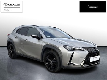 Lexus UX 2021 Lexus UX 250h GPF F Impression 2WD UX 250h F-impre, zdjęcie 7