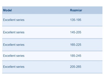 Boom Infinity Excellent Series 2022 135-195 см