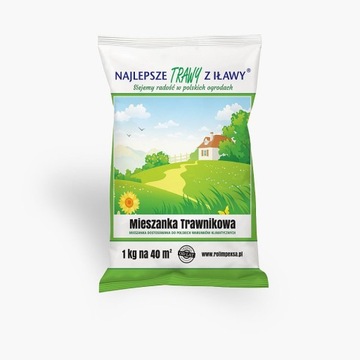 TRAWY Z IŁAWY TRAWA TRAWNIKOWA 1KG
