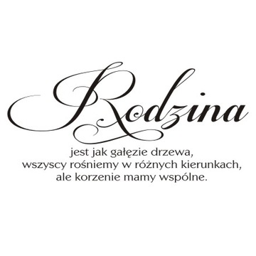Napis na ścianę, naklejka Rodzina jest jak... 211