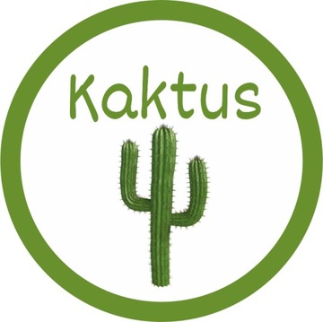 Цветной сахар для сахарной ваты Cactus Green 100г Cactus пакетик