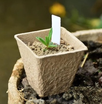 DONICZKI TORFOWE NA ROZSADY SADZONKI 6CM 20SZT