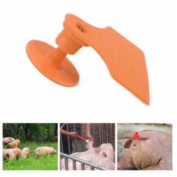 100 комплектов пластиковых идентификационных меток для домашних животных