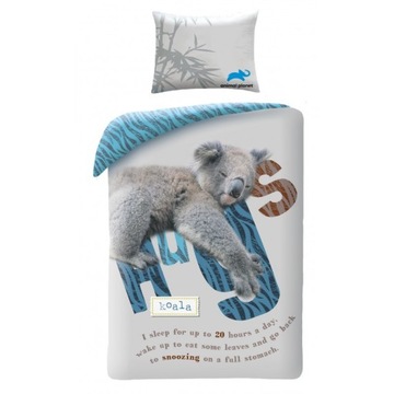 Pościel ANIMAL PLANET KOALA 140x200 bawełna