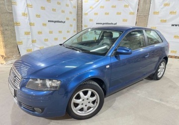 Audi A3 8P Hatchback 3d 1.6 102KM 2007 Audi A3 1.6 Mpi 102KM Piekna Sprawdz, zdjęcie 26