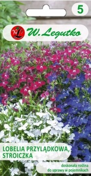 Nasiona lobelie Lobelia przylądkowa, Stroiczka mieszanka 0,3 g