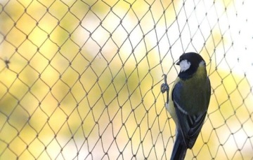 СЕТКА ХАРВЕСТИНГ 1,0 мм 25х25 мм зеленая ПВХ ВОЛНА - 1м х 25МБ