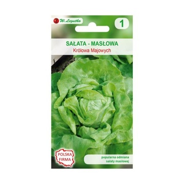 NASIONA SAŁATY SAŁATA KRÓLOWA MAJOWYCH 1G