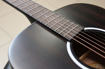 Washburn Deep Forest Ebony FE (фолк) - новинка!