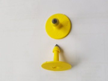 Kolczyk męski Allflex