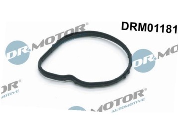 DR.MOTOR DRM01181 TĚSNĚNÍ TERMOSTAT