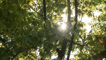 Эффектный фильтр NISI Black Mist 1/2 67 мм