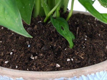 Грунт для субстрата ZAMIOKULKAS 5л