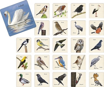 ИГРА НА ПАМЯТЬ ПТИЦ