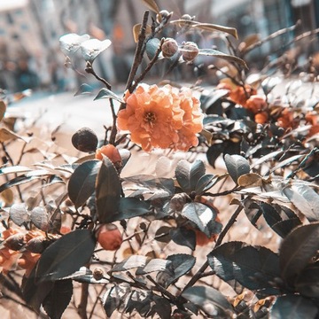 Призма 77 мм для камеры калейдоскопа.