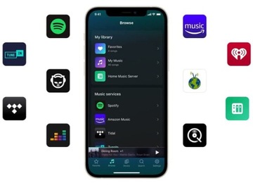 WIIM MINI СЕТЕВОЙ ПОТОКОВЫЙ ПЛЕЕР WIFI BT