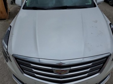 Cadillac 2019 Cadillac XTS Luxury 2019 3.6l 3.6 Benzyna 304KM, zdjęcie 6