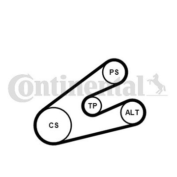 РЕМЕНЬ + РОЛИК CONTINENTAL для PEUGEOT 206+ 1.1 1.4i