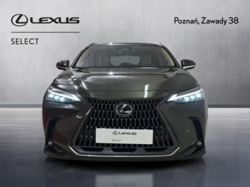 Lexus NX II SUV Facelifting 2.5 350h 243KM 2025 Lexus NX 350h Prestige AWD II (2021-) Lexus NX 350, zdjęcie 5