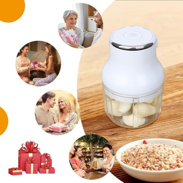 ЭЛЕКТРОПИТАНИЕ/ИЗМЕЛЬЧИТЕЛЬ ЧЕСНКА/ЛУКА 30ВТ