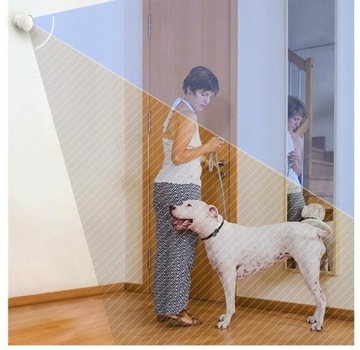 Комплект для умного дома EZVIZ B1 Zigbee WiFi с 2 датчиками