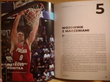 CEGLIŃS ПО ВСЕМУ МИРУ ПОД КОРЗИНОЙ