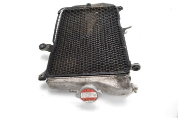 Водяной радиатор SUZUKI BURGMAN 650 13-17