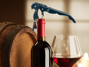 НАБОР ДЛЯ БАРБЕКЮ-ГРИЛЯ КОРПУС ИЗ НЕРЖАВЕЮЩЕЙ СТАЛИ, 26 ЧАСТЕЙ, ТЕРМОМЕТР В ПОДАРОК