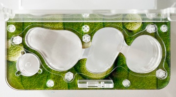 Формикарий с муравьями Antgard House MINI Starter Kit