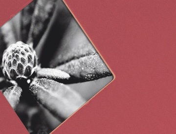 Hama АЛЬБОМ FINE ART 36x32/50 бордовый