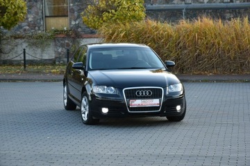 Audi A3 8P Hatchback 3d 1.6 102KM 2008 Audi A3 1.6MPi 102KM Manual 2008r. lift Climatroni, zdjęcie 20