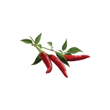 Papryczki chili Click and Grow, kapsułki z nasionami i substratem 3 szt.
