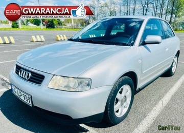 Audi A3 8L Hatchback 1.6 i 102KM 2001