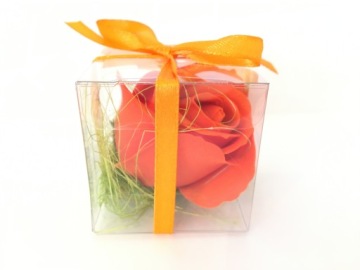 ВАШИНГТОНСКИЙ ЦВЕТОК в коробке подарок спасибо