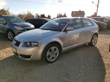 Audi A3 8L Hatchback 1.6 i 102KM 2003 Audi A3 Audi A3 II (8P) 1.6 102KM Mpi, BDB sta..., zdjęcie 4