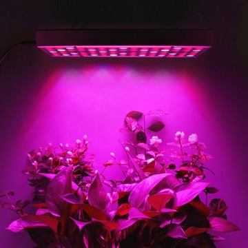 ЛАМПА ДЛЯ ВЫРАЩИВАНИЯ РАСТЕНИЙ LUZ PARA DE INTERIOR LED