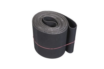 CBE00184 Pas prasy