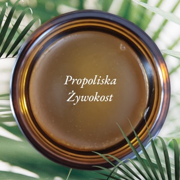 Мазь с прополисом API Эффект VITA Окопник Синяки Травмы 50 мл