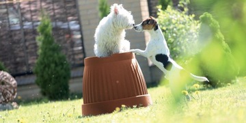 PROSPERPLAST TERRA DCE50 Цветочный горшок терракотовый