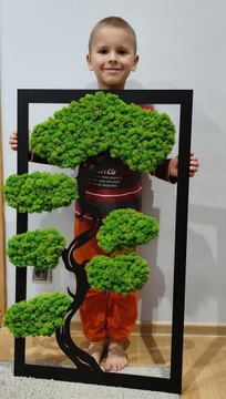 Дерево бонсай со мхом, красивый прямоугольный мох, 70х41.