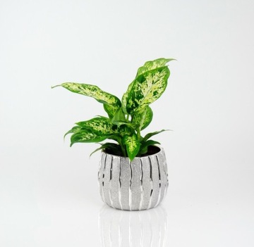 КЕРАМИЧЕСКАЯ КРЫШКА ДЛЯ ЦВЕТОЧНОГО ВАЗОНА 16x 13см СЕРЕБРЯНЫЙ ГЛАМУР